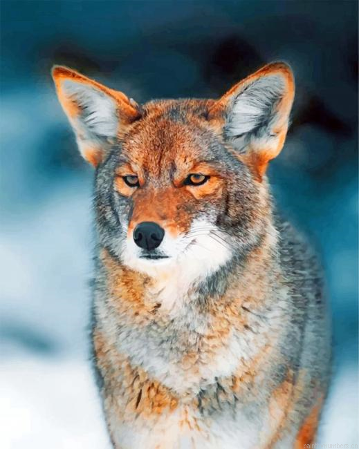 Coyote Painting By Numberss.png