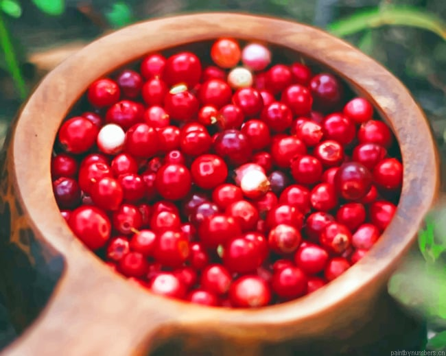 Cranberries Fruit In Plate Painting By Numberss.png