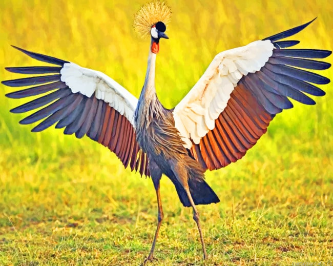 Crane Bird In Grass Painting By Numberss.png