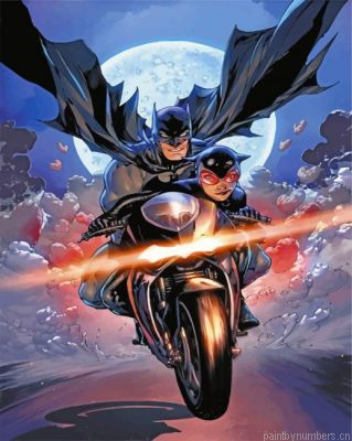 Crazy Batman And Catwoman Painting By Numbers.png