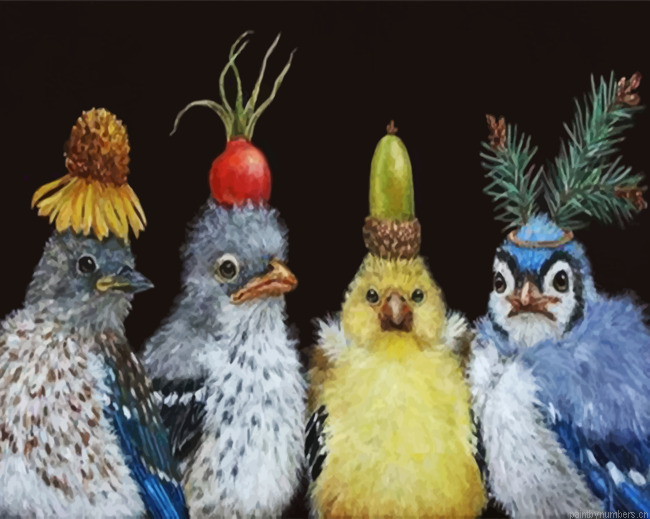 Crazy Birds Painting By Numbers.png