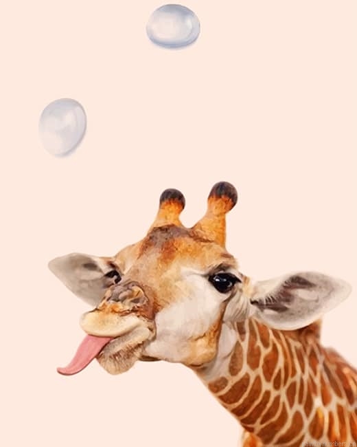 Crazy Giraffe Animals Painting By Numbers.png