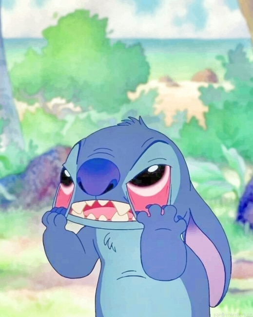 Crazy Stitch Cartoons Painting By Numberss.png