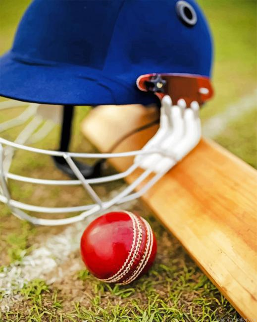 Cricket Essentials Painting By Numbers.png