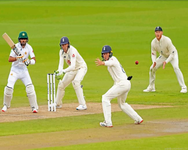 Cricket Team Painting By Numbers.png