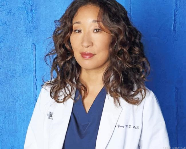 Cristina Yang Greys Anatomy Actors Painting By Numbers.png