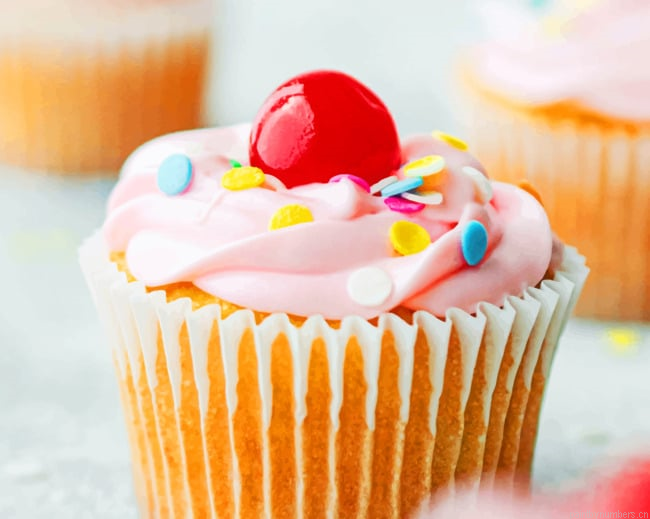Cupcake Dessert Confetti Food Painting By Numberss.png