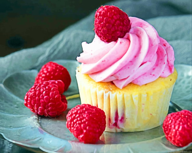 Cupcake Smitten Dessert Food Painting By Numberss.png