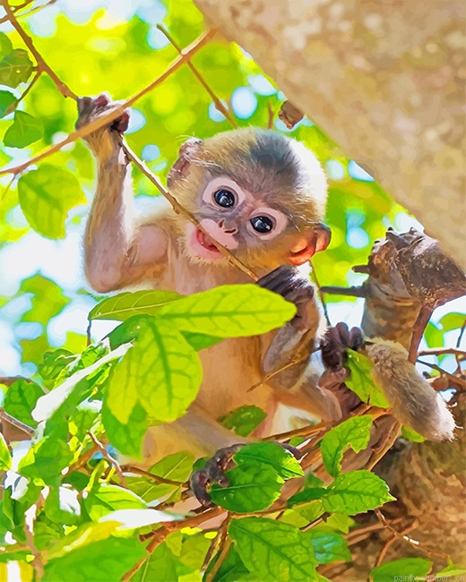 Cute Baby Monkey Animals Painting By Numberss.png