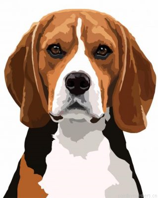 Cute Beagle Painting By Numbers.png