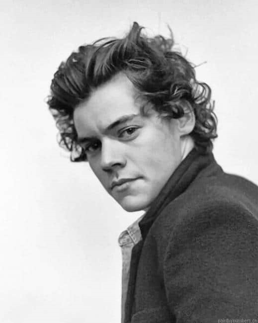 Cute Black And White Harry Styles Singers Painting By Numberss.png