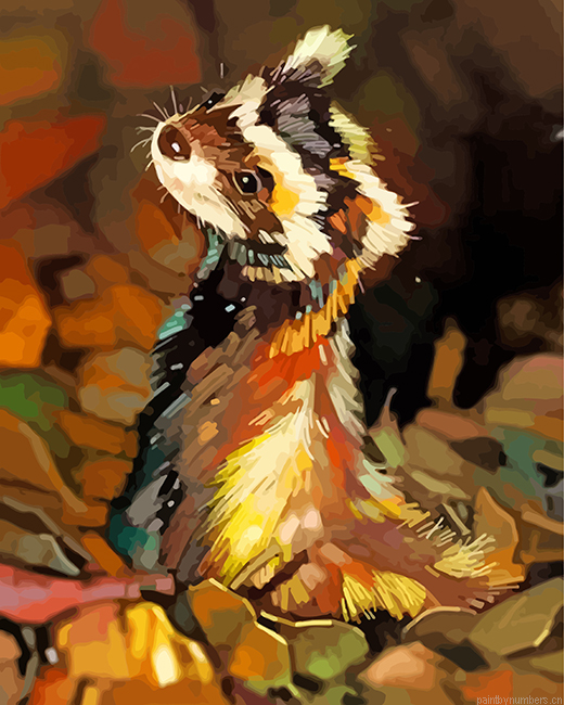 Cute Black Footed Ferret Painting By Numbers.png
