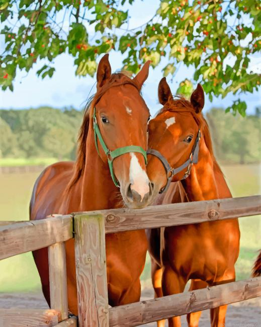 Cute Brown Horses Animals Painting By Numberss.png