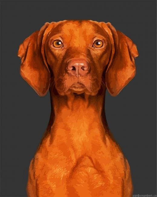 Cute Brown Vizsla Dog Painting By Numberss.png
