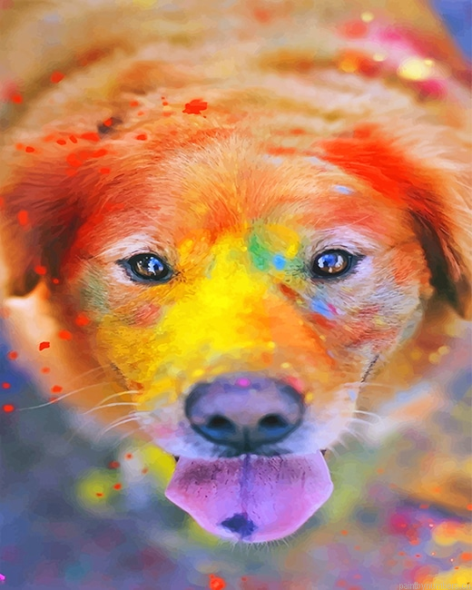 Cute Colorful Dog Animals Painting By Numbers.png