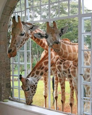 Cute Curious Giraffes Painting By Numbers.png