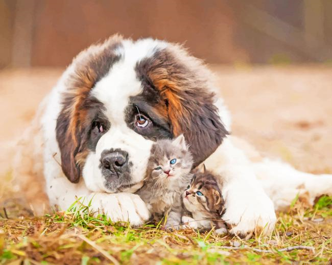 Cute Dog And Kittens Animals Painting By Numbers.png