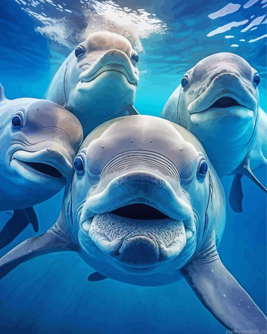 Cute Dolphins Painting By Numberss.png
