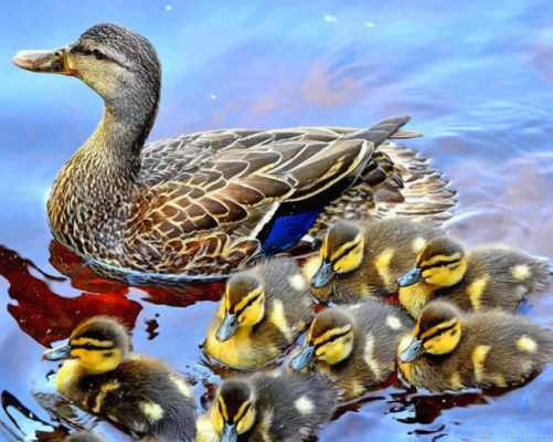 Cute Ducks In A Row Painting By Numbers.png