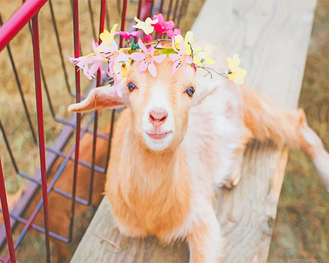 Cute Goat Animals Painting By Numberss.png