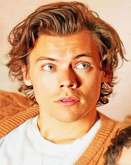 Cute Harry Edward Styles Singers Painting By Numberss.png