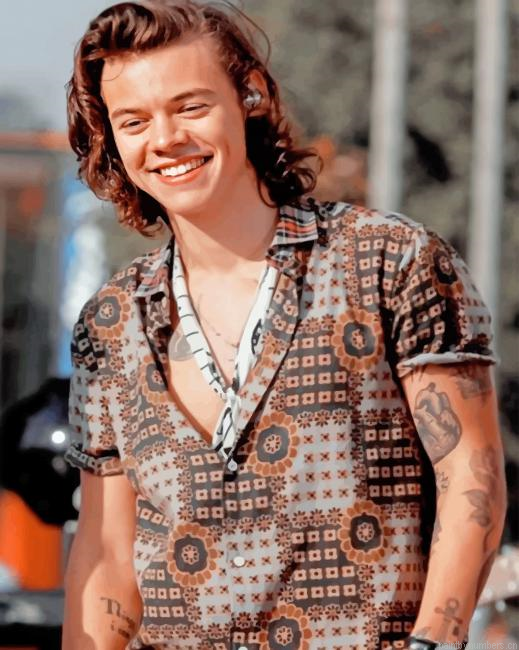Cute Harry Smiling Singers Painting By Numberss.png