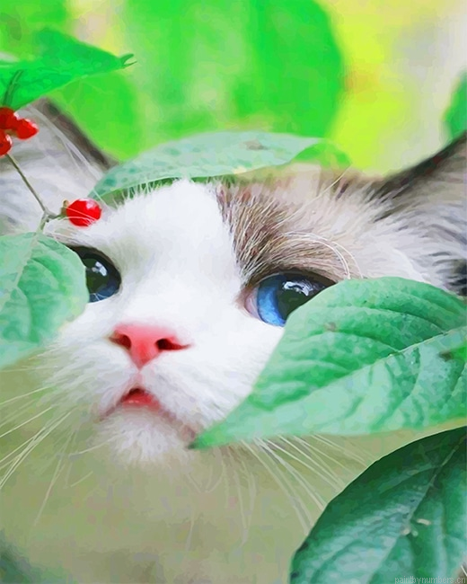 Cute Kitty Animals Painting By Numberss.png