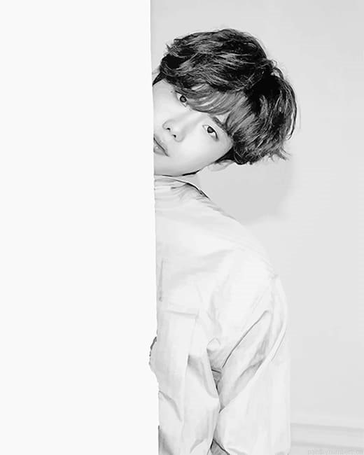 Cute Lee Jong Suk Actors Painting By Numberss.png