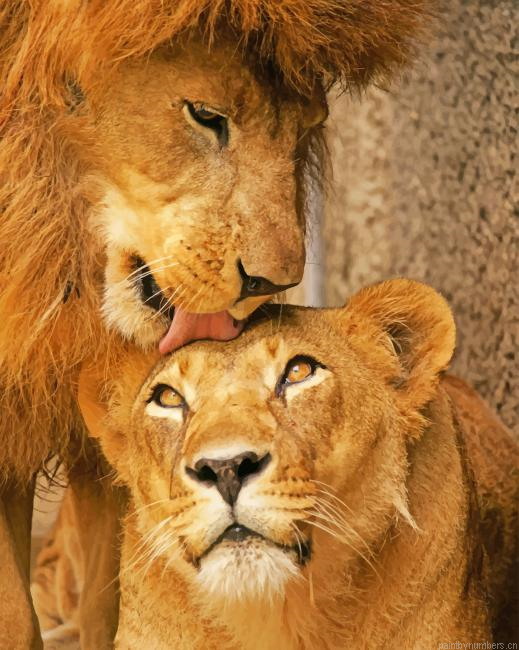 Cute Lion And Cub Animals Painting By Numberss.png