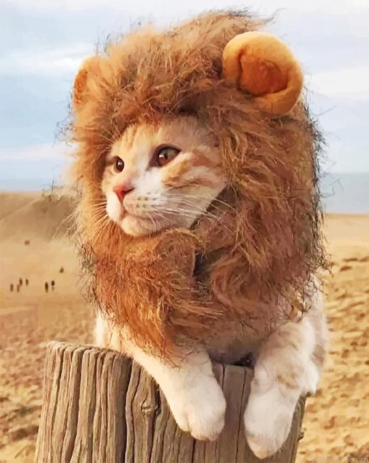 Cute Lion Cat Animals Painting By Numbers.png