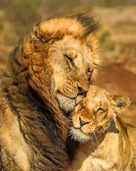 Cute Lion And Lioness Animals Painting By Numberss.png