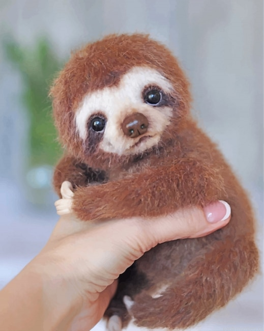 Cute Looking Sloth Animals Painting By Numbers.png