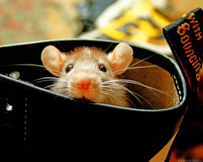 Cute Mouse Animals Painting By Numberss.png
