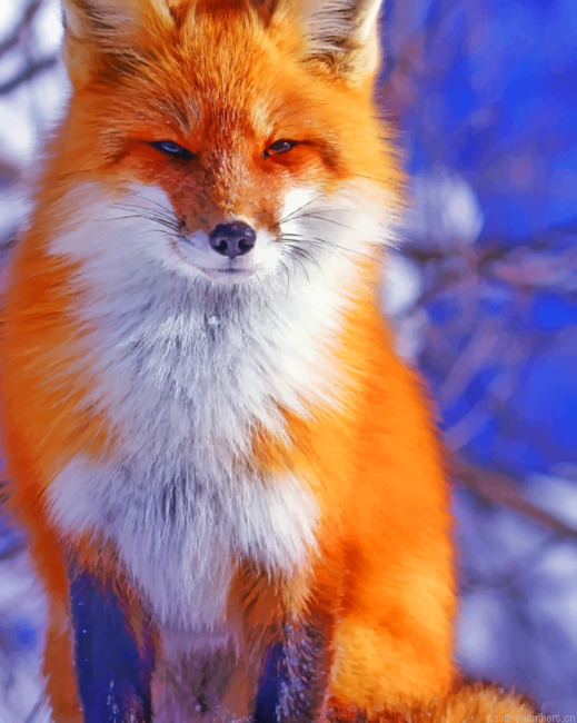 Cute Orange Fox Animals Painting By Numberss.png