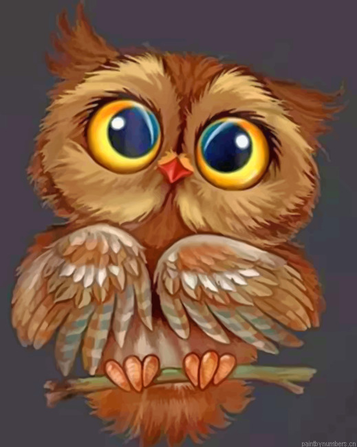 Cute Owl Painting By Numbers.png