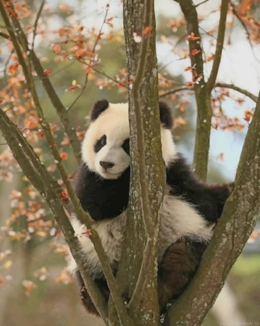 Cute Panda On A Tree Animals Painting By Numberss.png