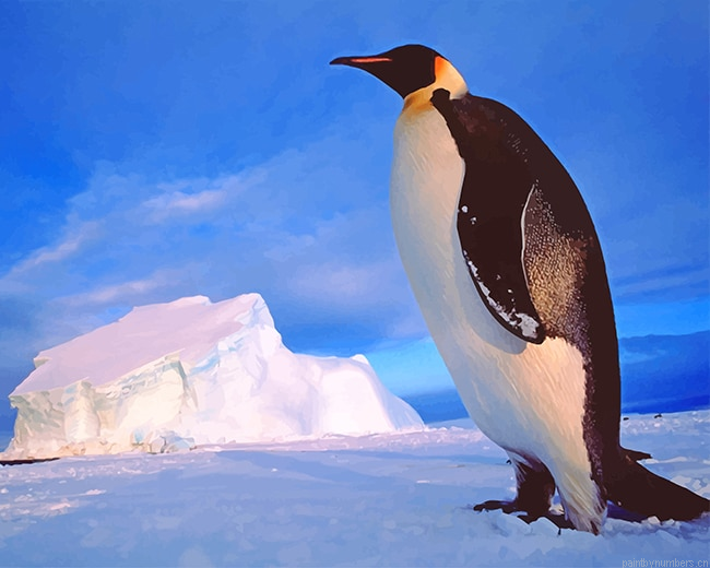 Cute Penguin Birds Painting By Numberss.png