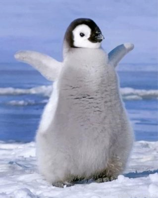 Cute Penguin Painting By Numbers.png