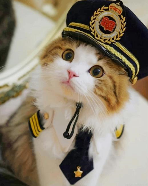 Cute Police Cat Painting By Numberss.png