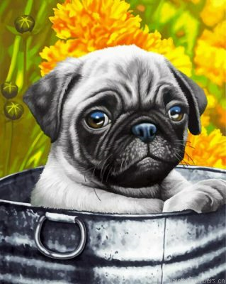 Cute Pug Painting By Numbers.png