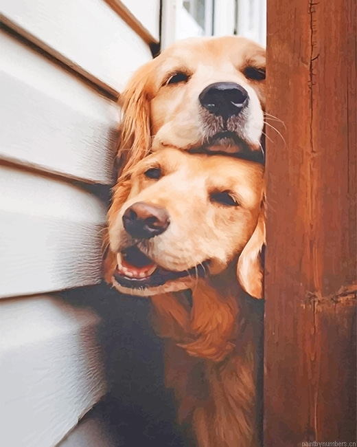 Cute Puppies Dogs Painting By Numbers.png