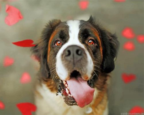 Cute Saint Bernard Painting By Numbers.png