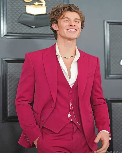 Cute Shawn Mendes Singers Painting By Numbers.png