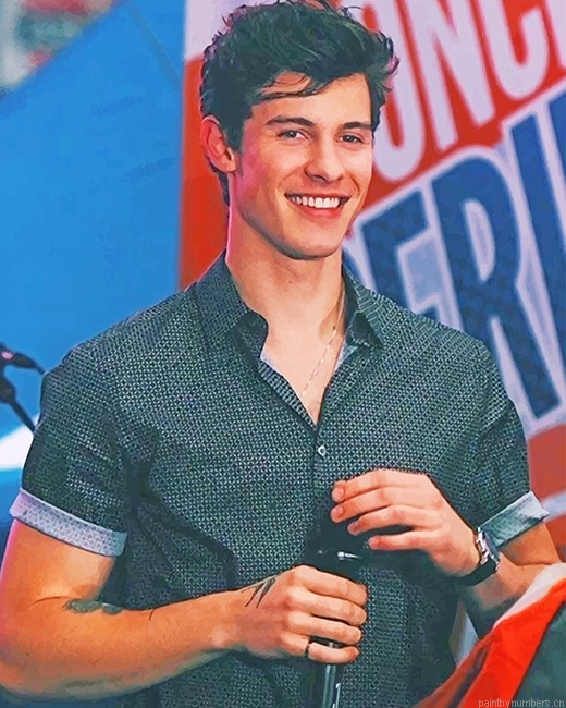 Cute Shawn Singers Painting By Numberss.png