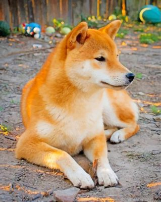 Cute Shiba Inu Painting By Numbers.png