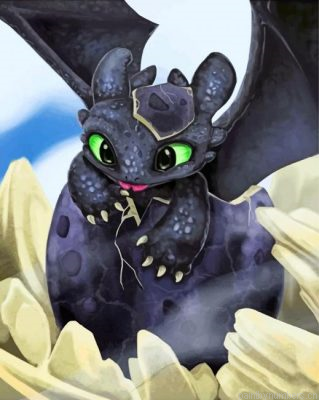 Cute Toothless Painting By Numbers.png