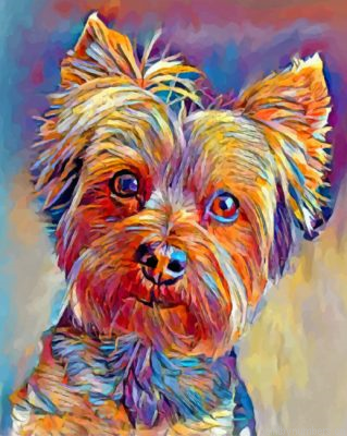 Cute Yorkshire Terrier Painting By Numbers.png