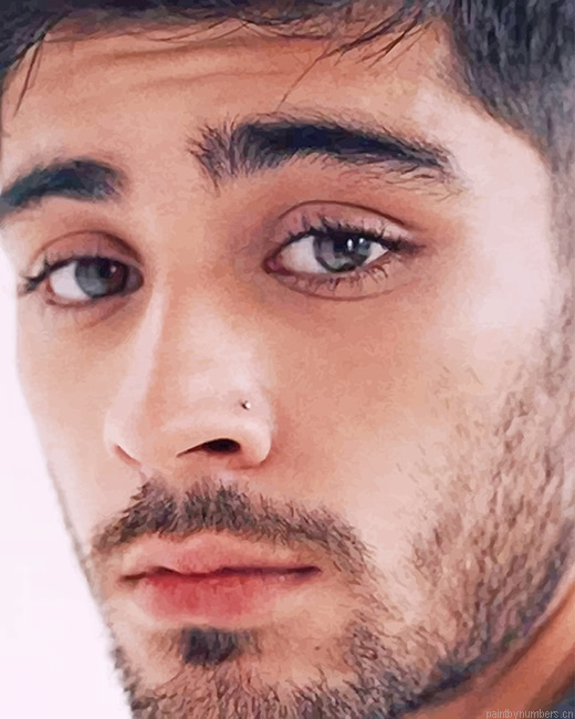 Cute Zayn Malik Singers Painting By Numbers.png