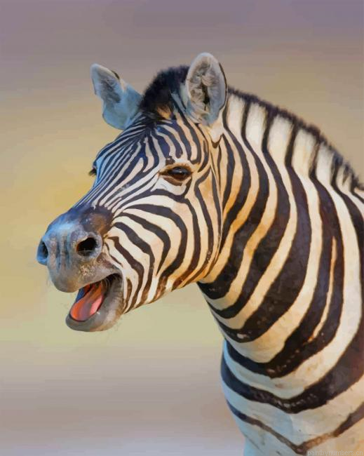 Cute Zebra Animals Painting By Numberss.png