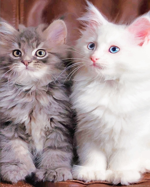 Cute Kitties Animals Painting By Numbers.png